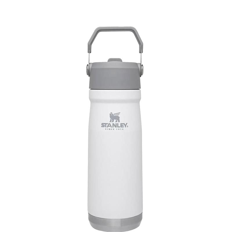 22 oz Stanley® Stainless Steel Insulated IceFlow Flip Straw Water Bottle